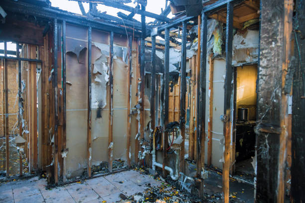 Professional Fire Damage Removal technician working in Glyndon, MD